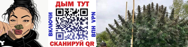 Амфетамин Дорогобуж