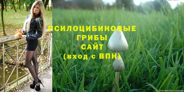 дурь Балахна