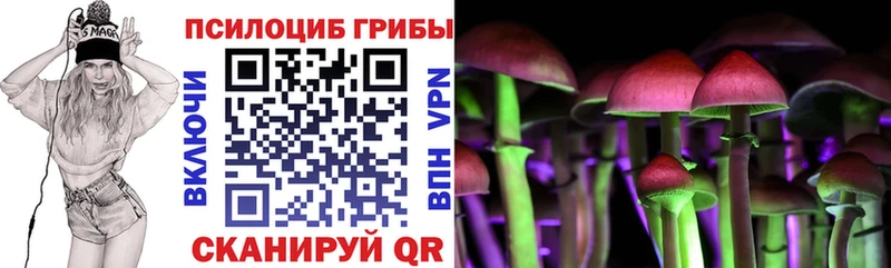Псилоцибиновые грибы Psilocybe  цена наркотик  Дорогобуж 